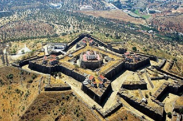 “环形”防御机制的演化