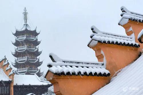 新年第一场春雪，让喜雪盼雪的南京人欣赏到了雪的美丽与纯洁