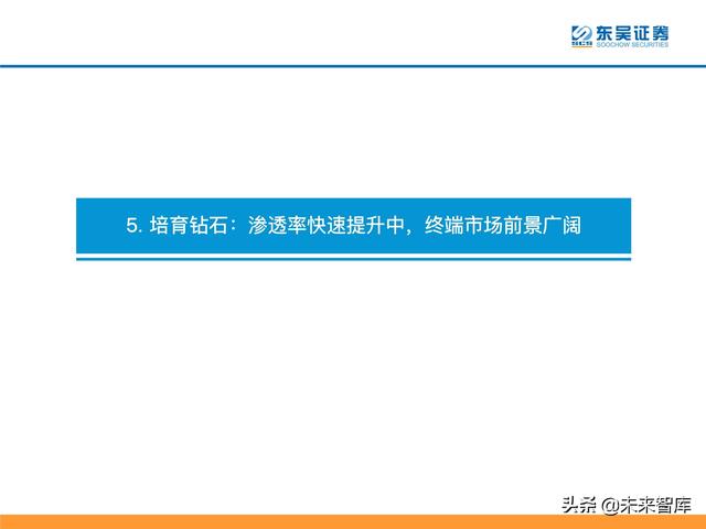 消费品行业深度研究及2022年度策略：消费品掘金三战法