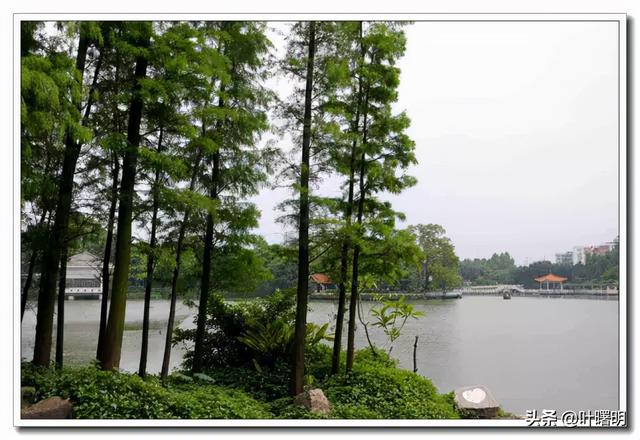 荔湾：那一片千年宝地（叶曙明）