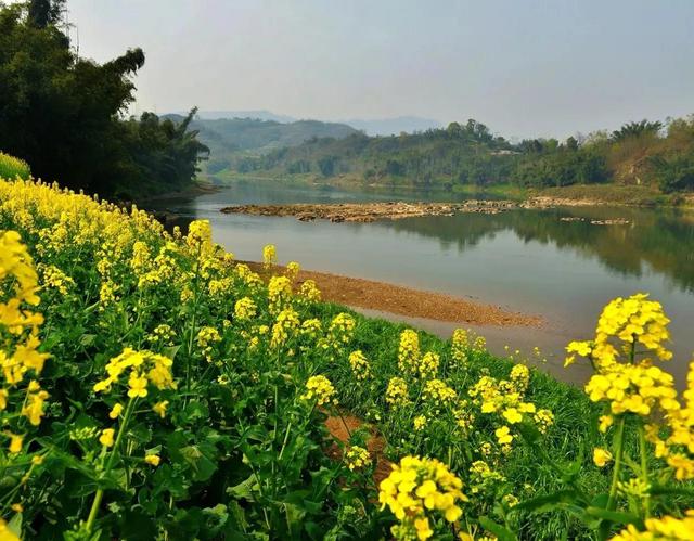 綦江溯源话古今