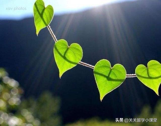 高考在即，你还有其他选择吗