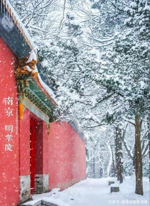 新年第一场春雪，让喜雪盼雪的南京人欣赏到了雪的美丽与纯洁