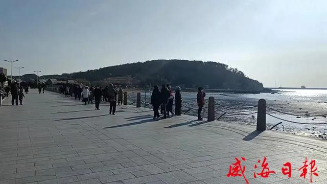 新春走基层丨年味里的“天鹅经济”