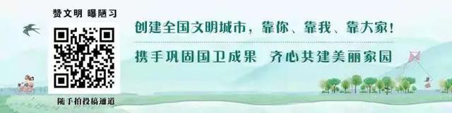 28个岗位，103人，淳安这里招人啦～