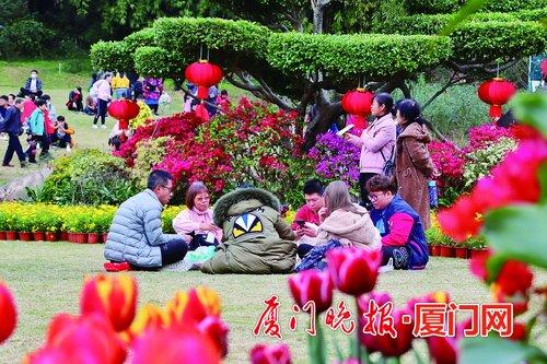 春节假期后半段暖阳露脸，厦门市民游兴高涨