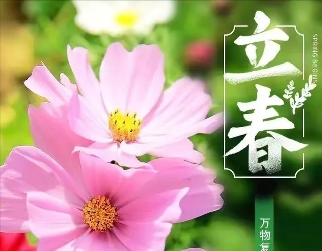 今日立春，雨停了！快出门玩耍吧，攻略已备好→