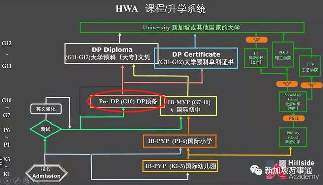 新加坡O水准放榜后，学生竟然还有这条优质升学路线可选