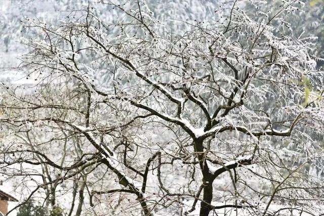 永康的雪