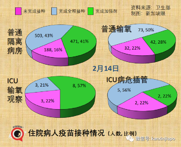 峰值过后新加坡有望进一步放开；部分青少年允许打科兴