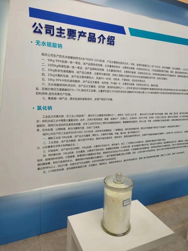项目为王 环境是金｜瑞洪盐业：以技术创新生存 凭独特工艺领跑