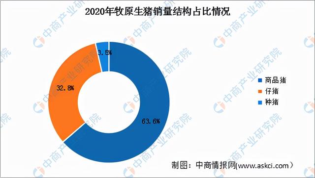 2022年中国猪肉行业市场前景及投资研究预测报告