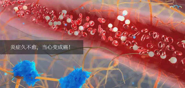 德国病理学之父：炎症是癌症的祸根，身体有这3种炎症不要拖