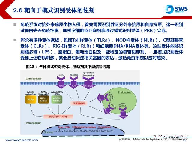 疫苗佐剂行业深度报告：疫苗脱颖而出的秘密武器