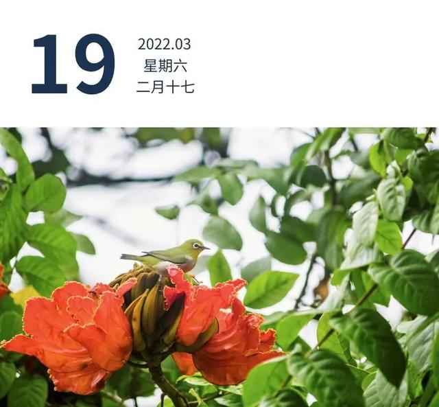 广东昨日新增本土确诊病例47例，无症状感染者48例 | 早安广东