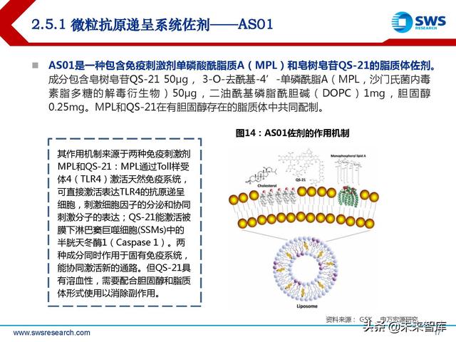 疫苗佐剂行业深度报告：疫苗脱颖而出的秘密武器