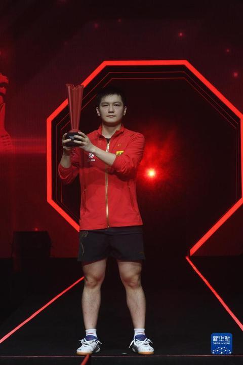WTT新加坡大满贯：樊振东男单夺冠
