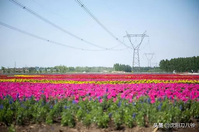 大胆畅想系列之五：沈阳地铁5号线向西北方向延伸至新民北站