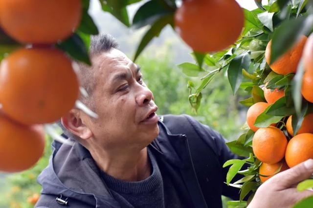 把光和热洒在家乡的大地上！支持乡村振兴，他们这样做