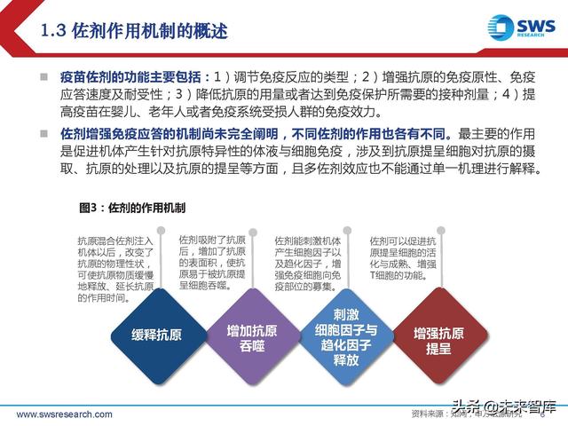 疫苗佐剂行业深度报告：疫苗脱颖而出的秘密武器