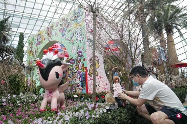 新加坡滨海湾花园樱花展开幕