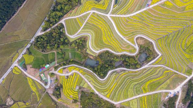 早读社丨我国首个地铁北斗定位系统开建