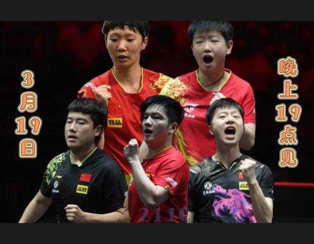 #WTT新加坡大满贯19日赛程#