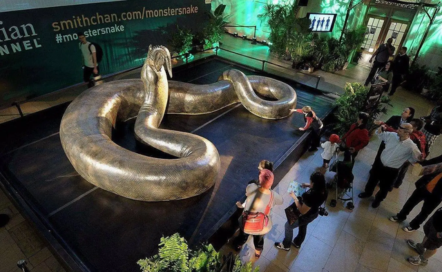 30米巨蛇骨架在谷歌地图都可见，网友怀疑是泰坦蟒，真相是什么？
