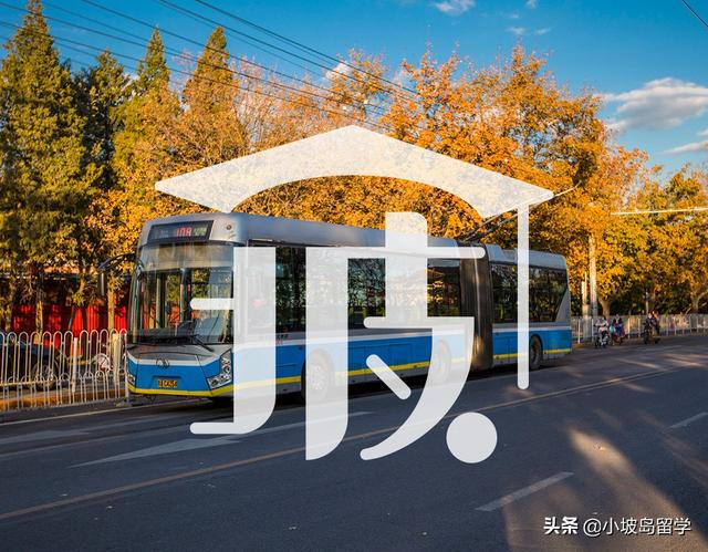 公交卡大盘点｜日常出行竟有这么多省钱小技巧？