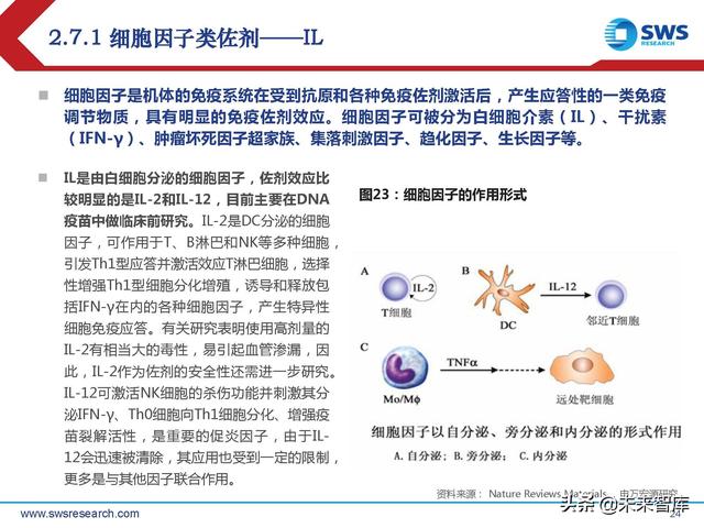 疫苗佐剂行业深度报告：疫苗脱颖而出的秘密武器