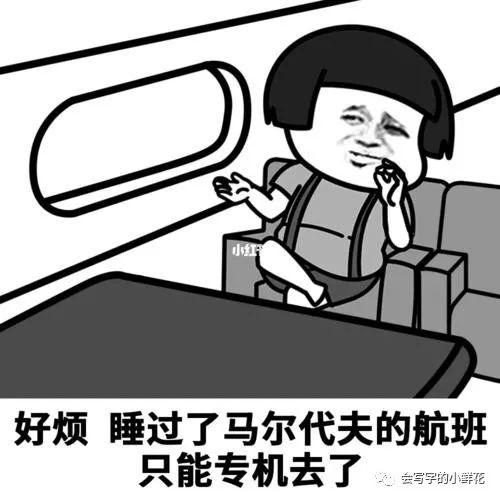 旅游大咖养成记