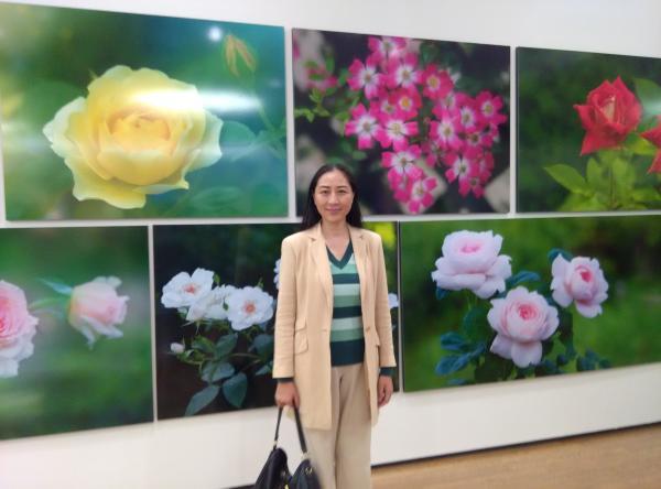 思想者｜王慧敏：力压月季、桃花等对手，白玉兰为何能当选上海市花？