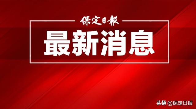 以高质量党建推进乡村全面振兴——全市乡镇党委书记抓党建促乡村振兴“擂台比武”视频交流会发言摘登