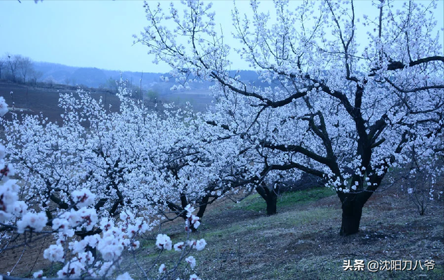 大胆畅想系列之五：沈阳地铁5号线向西北方向延伸至新民北站