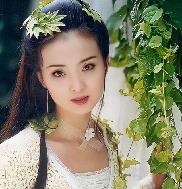 低调的百亿富豪王志才：迎娶“晴格格”为妻，豪宅就在紫禁城旁边