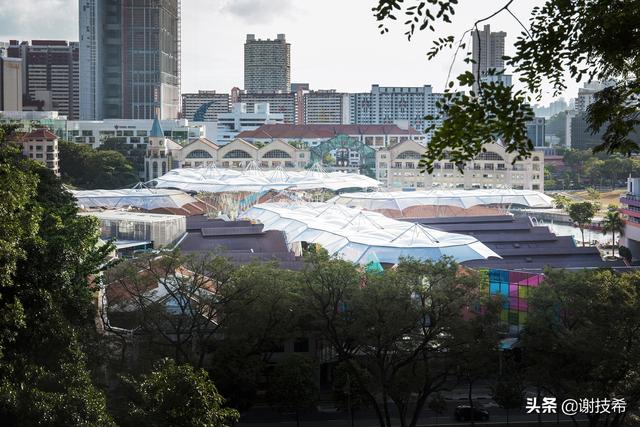 那个把设计玩出花的喜茶-新加坡克拉码头喜茶白日梦计划