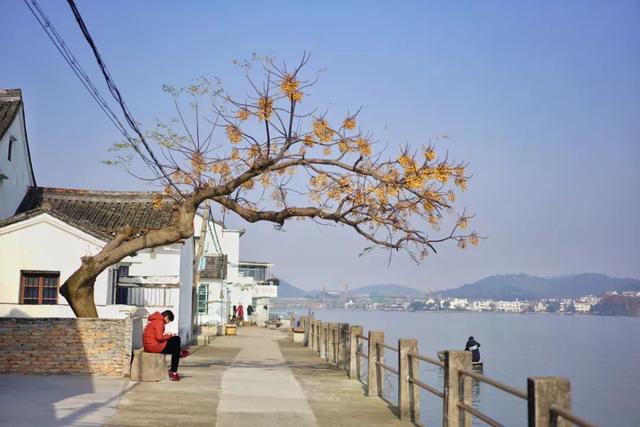 浙江最大淡水湖，西施后代至今仍聚居在湖畔的明清老建筑里