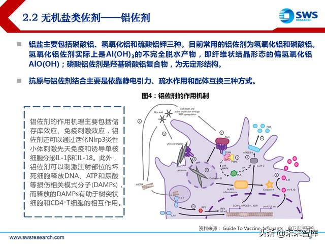 疫苗佐剂行业深度报告：疫苗脱颖而出的秘密武器