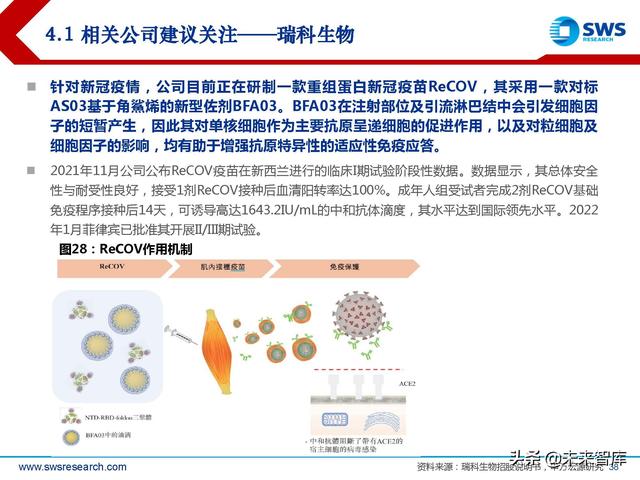 疫苗佐剂行业深度报告：疫苗脱颖而出的秘密武器