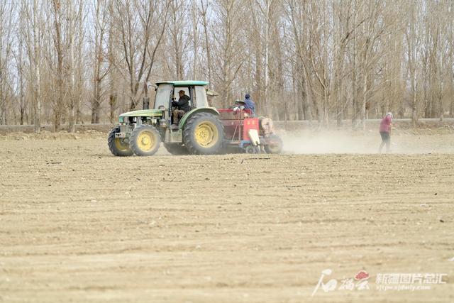 小天晨报 | 今年新疆冬春小麦每亩享受政策补贴220元；2021年新疆生产建设兵团生产总值3395.61亿元