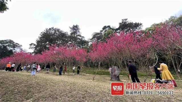 早新闻丨南宁一幼儿看护点刚开学就被要求停办，200多名幼儿被分流