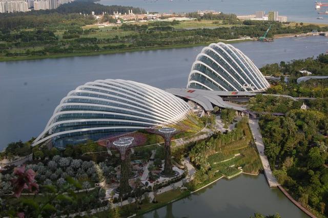 新加坡研究生需要雅思成绩吗