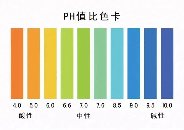 再谈素食与健康