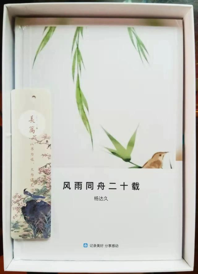 我的爱好和兴趣