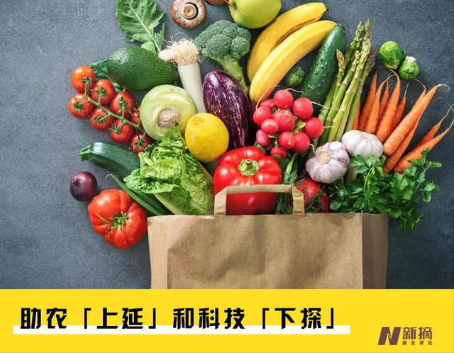 拼多多的助农「上延」和科技「下探」