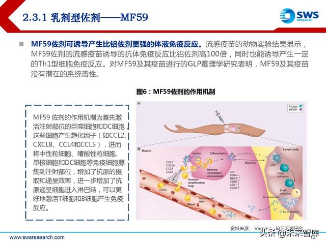 疫苗佐剂行业深度报告：疫苗脱颖而出的秘密武器