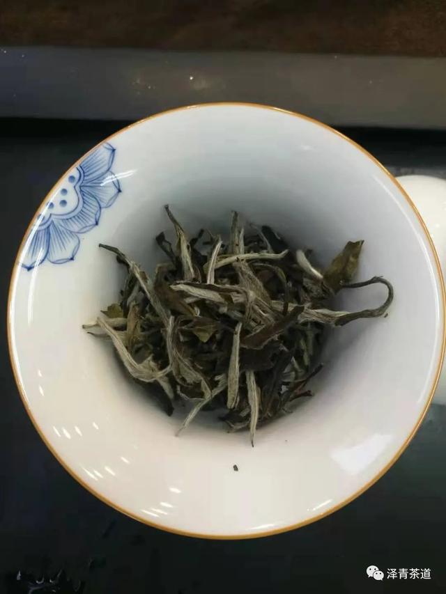 白茶中，白毫银针为最上品，它为什么会如此独特呢？