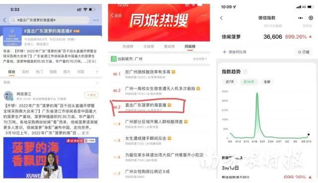 观察 | 徐闻菠萝的海“百千直播”之后要留下什么？