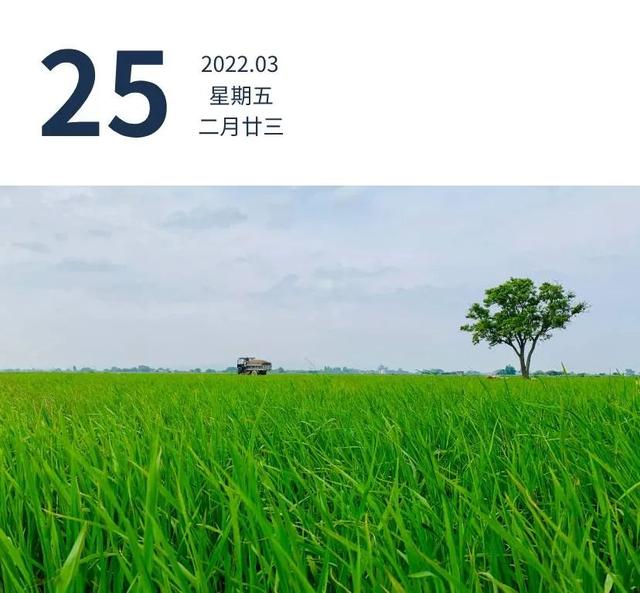 广东昨日新增本土确诊病例4例，无症状感染者7例 | 早安广东