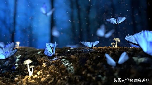 区域规划实操系列｜十：区域规划的新发展与新趋势
